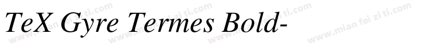 TeX Gyre Termes Bold字体转换
